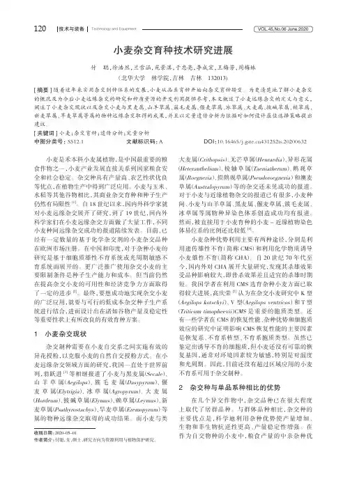 小麦杂交育种技术研究进展