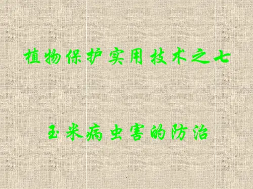 植物保护实用技术之七玉米病虫害的防治ppt课件