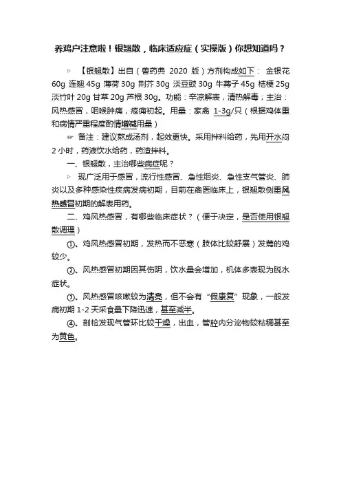 养鸡户注意啦！银翘散，临床适应症（实操版）你想知道吗？