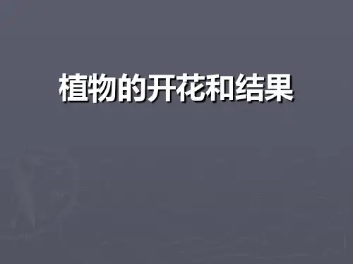 《植物的开花和结果》-优质精选PPT