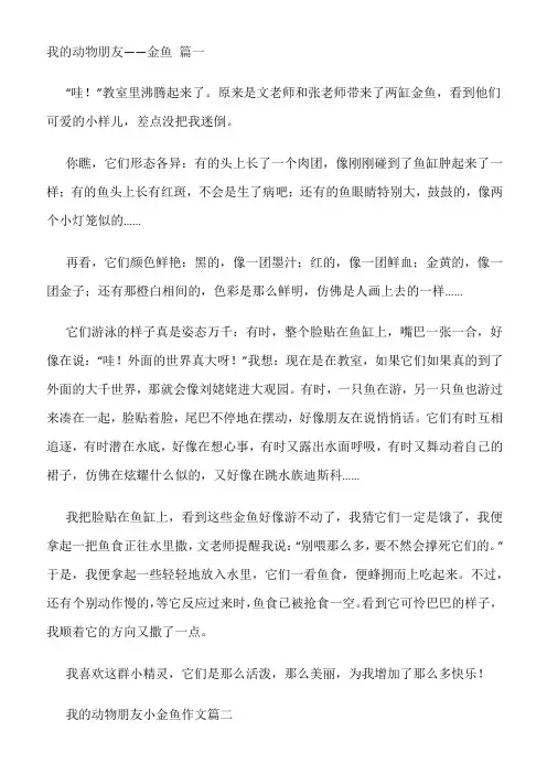 我的动物朋友小金鱼作文350字左右