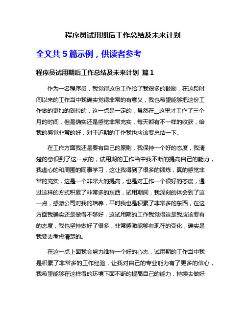 程序员试用期后工作总结及未来计划