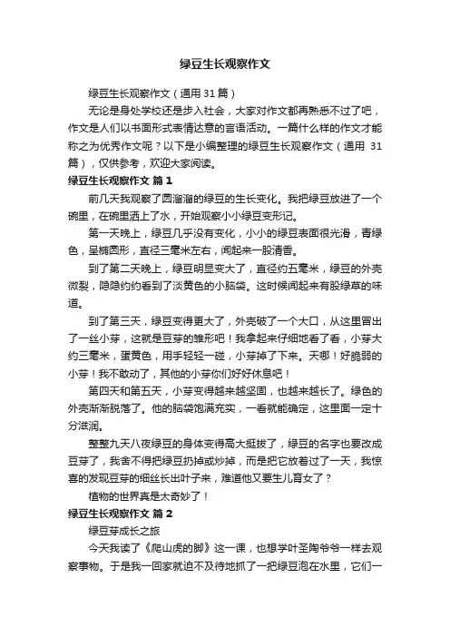 绿豆生长观察作文（通用31篇）