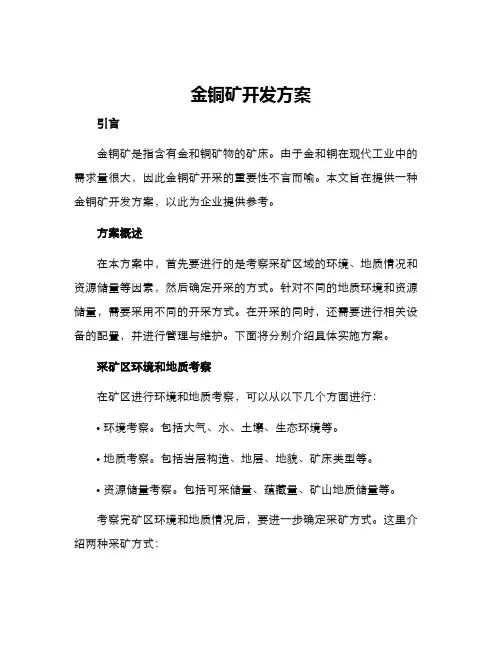 金铜矿开发方案