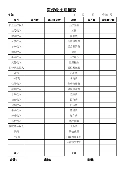 民营医院医疗收支明细表