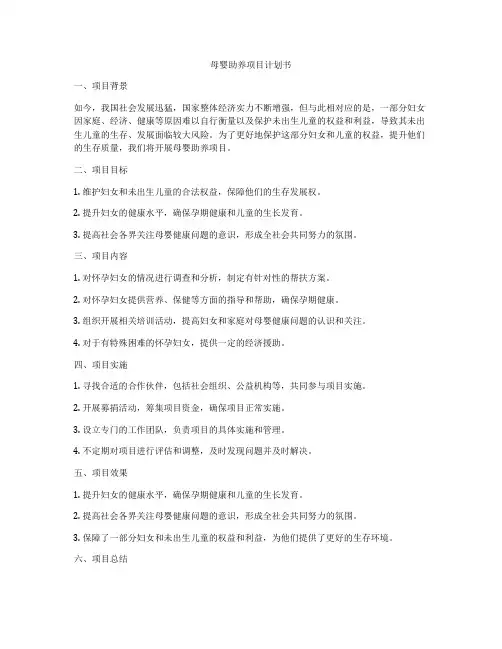 母婴助养项目计划书