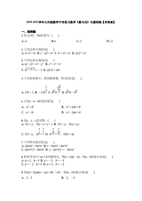 2020-2021学年九年级数学中考复习数学《数与式》专题训练【含答案】