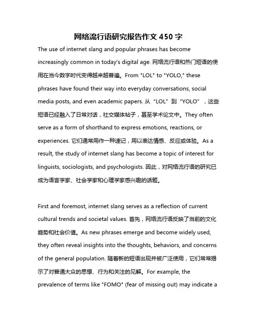 网络流行语研究报告作文450字