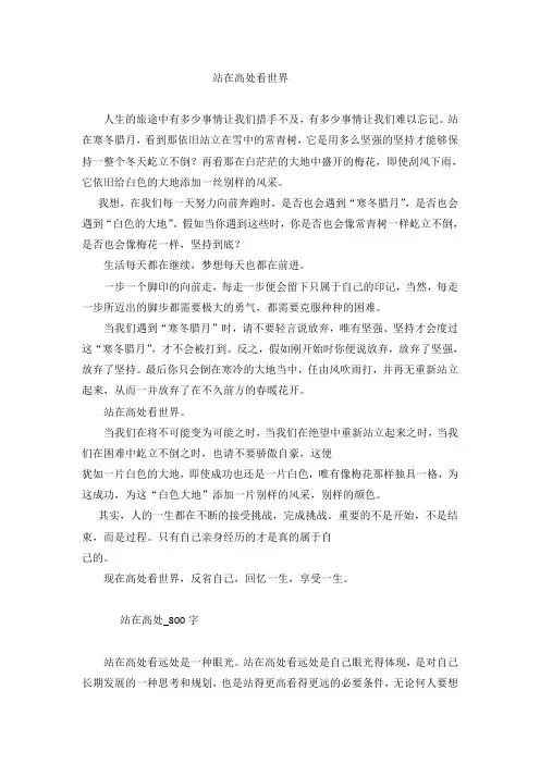 站在高处看世界