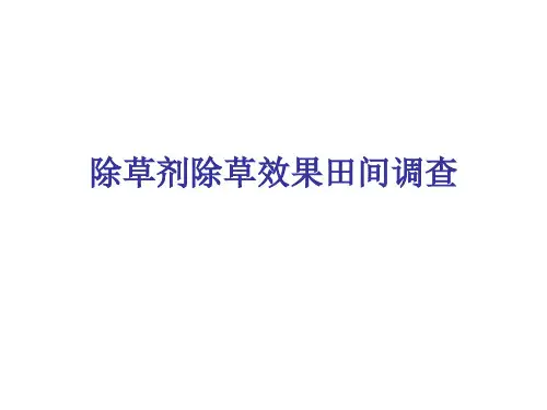 除草剂除草效果田间调查