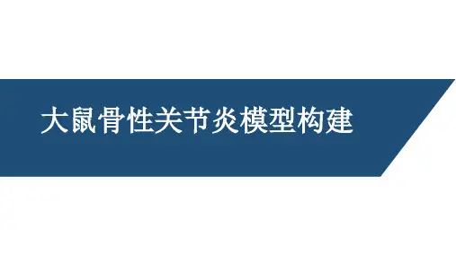 大鼠骨性关节炎模型构建方法