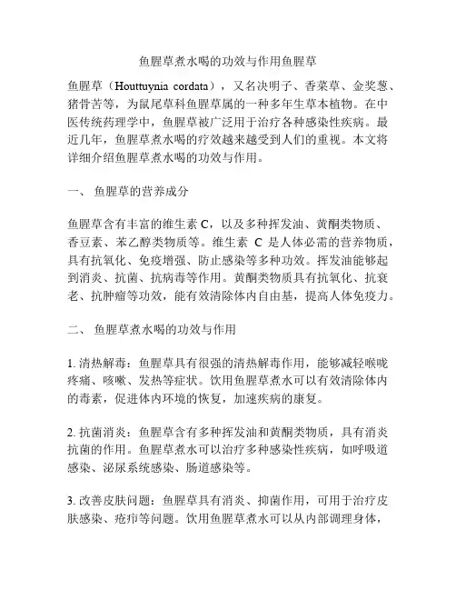 鱼腥草煮水喝的功效与作用鱼腥草