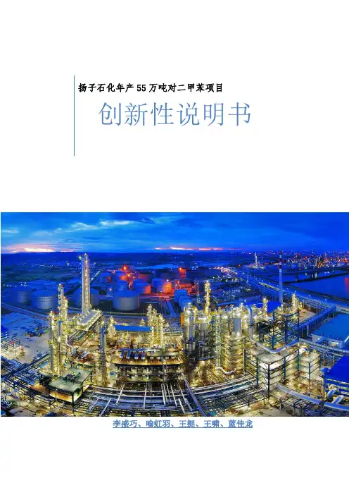 创新性说明书