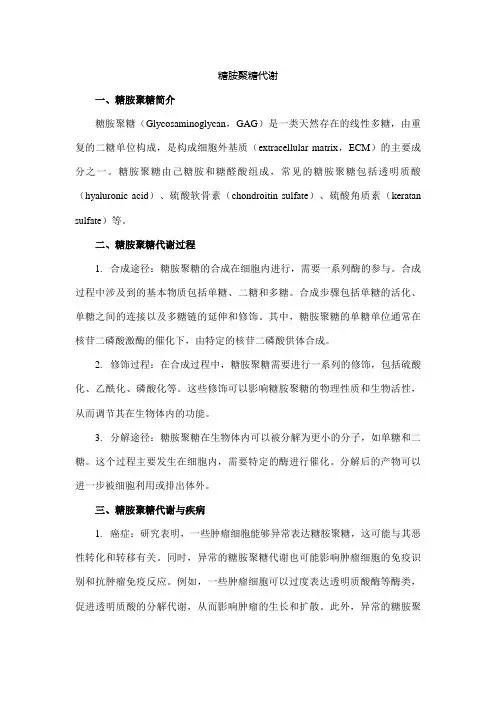 糖胺聚糖代谢