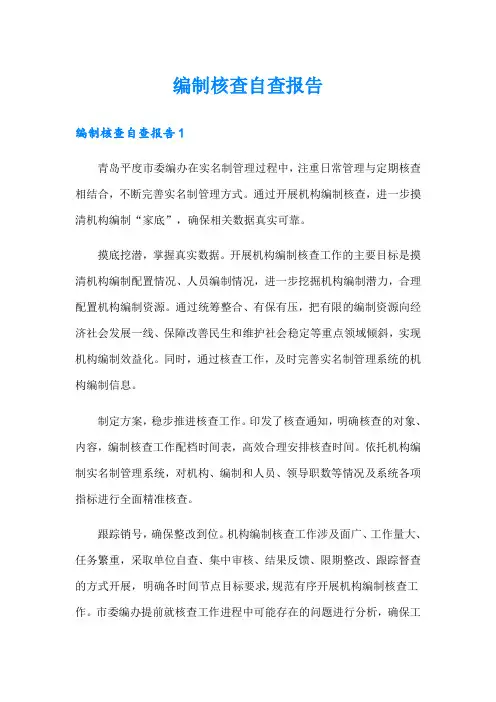 编制核查自查报告