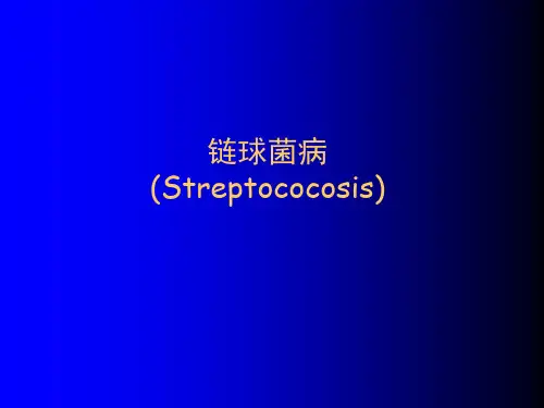 猪链球菌病课件