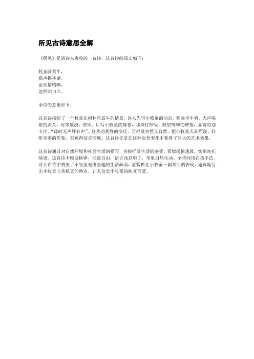 所见古诗意思全解
