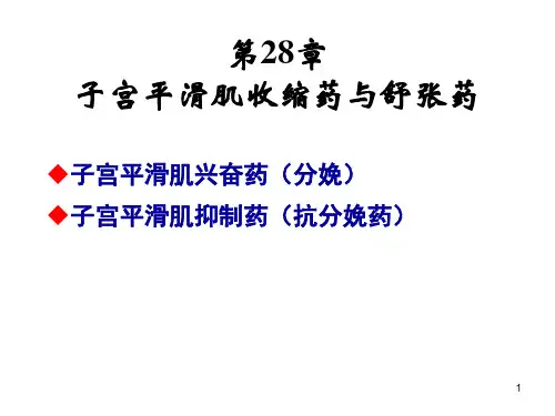 第28章 子宫平滑肌收缩药与舒张药