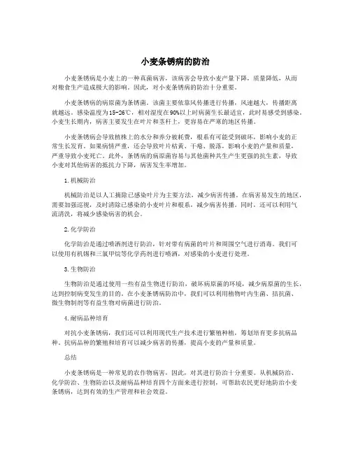 小麦条锈病的防治