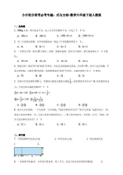 小升初分班考必考专题：式与方程(含答案)数学六年级下册人教版