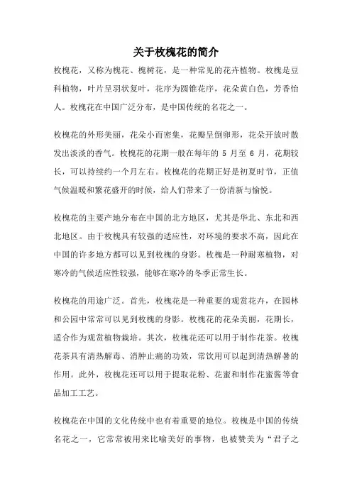 关于枚槐花的简介