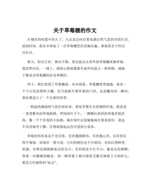 关于草莓棚的作文