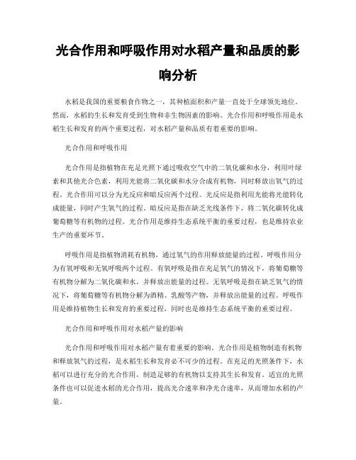 光合作用和呼吸作用对水稻产量和品质的影响分析