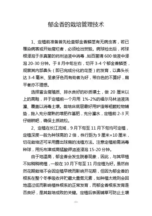 郁金香的栽培管理技术