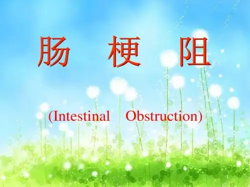 肠梗阻教学小讲座ppt课件