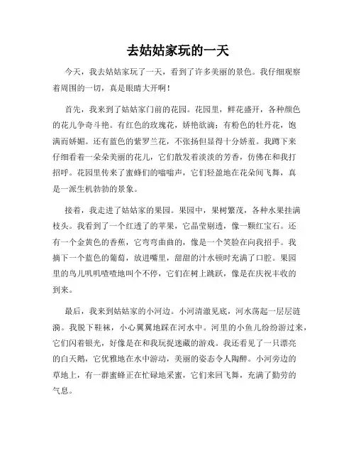 小学三年级作文这儿真美范文去姑姑家玩的一天