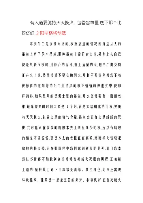 水培吊兰与盆栽吊兰小敲门