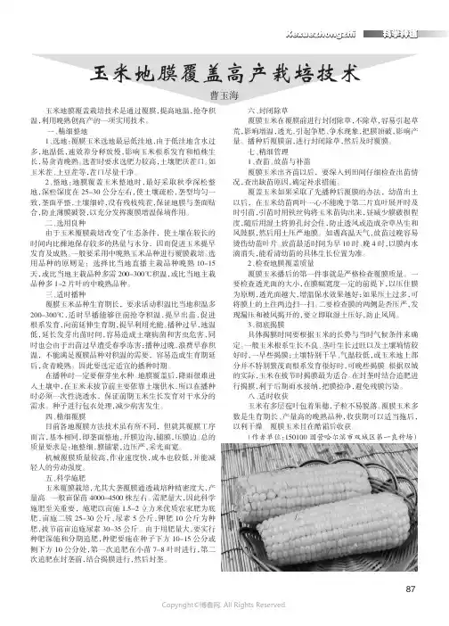 玉米地膜覆盖高产栽培技术