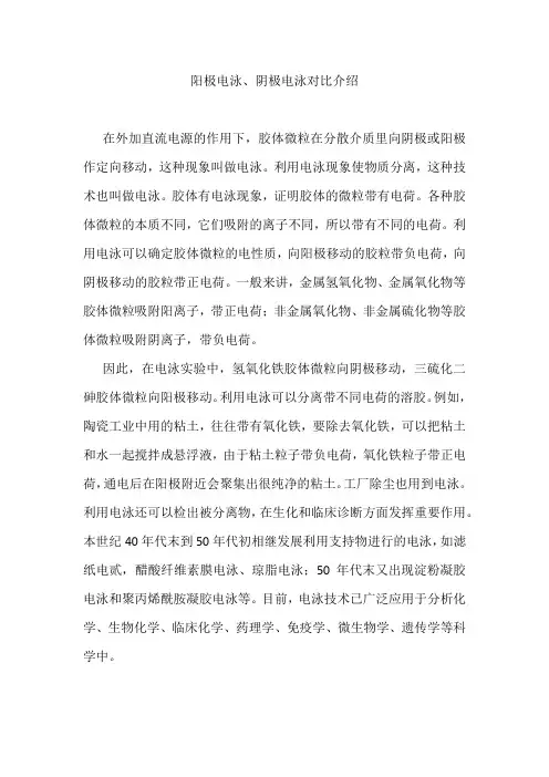 阳极电泳、阴极电泳对比介绍