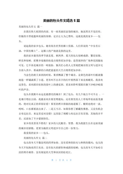 美丽的包头作文精选5篇