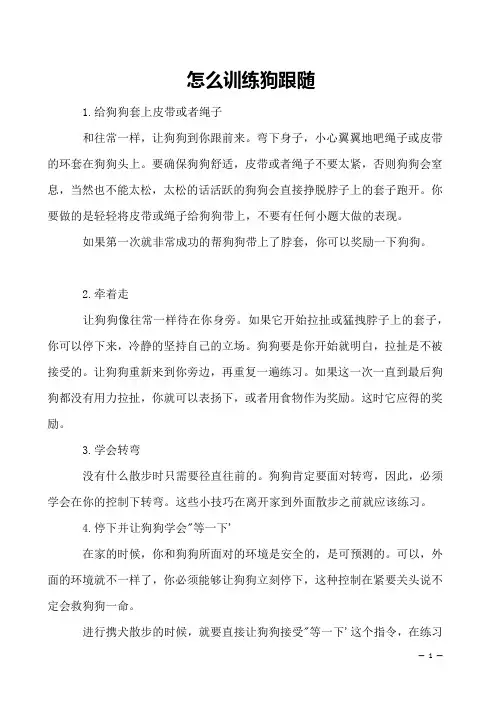 怎么训练狗跟随
