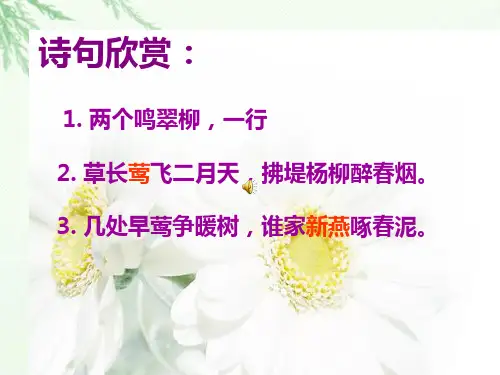新编人教版五年级语文上册16珍珠鸟公开课PPT课件