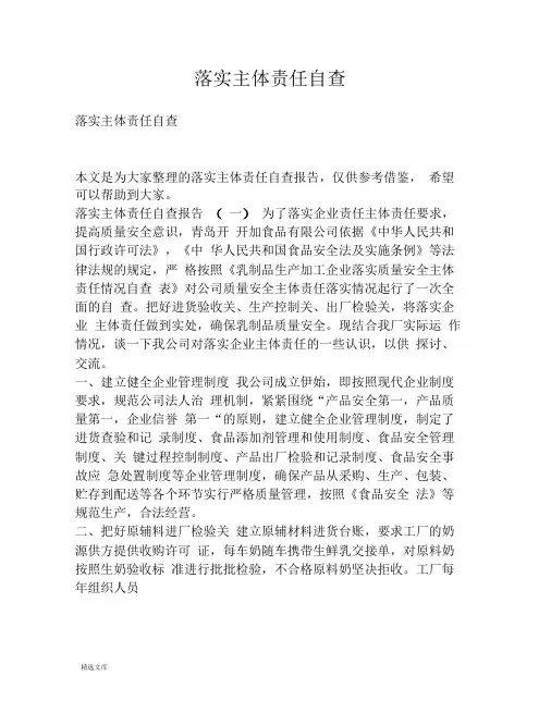落实主体责任自查