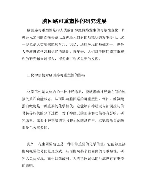 脑回路可重塑性的研究进展