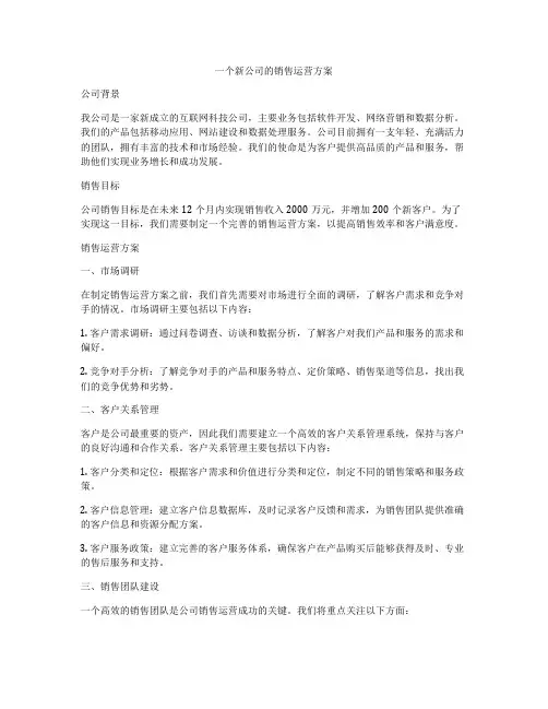 一个新公司的销售运营方案