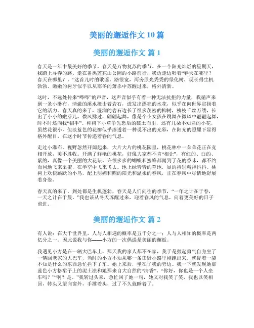 美丽的邂逅作文10篇