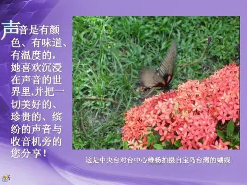 维杨