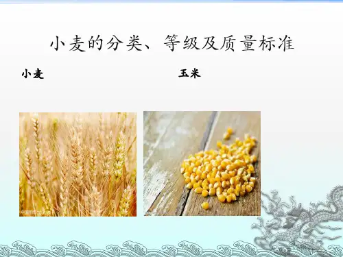 小麦及玉米的质量标准ppt课件
