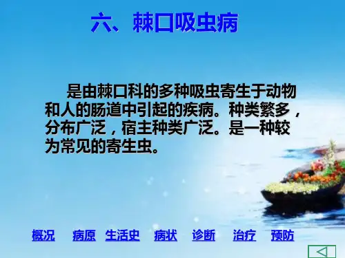 课件：棘口吸虫病