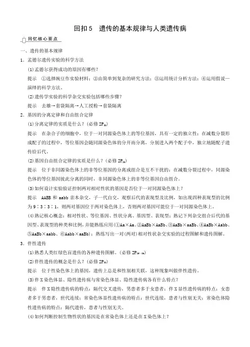 2015届高三生物二轮优化训练：10个专题知识精彩回扣5 遗传的基本规律与人类遗传病