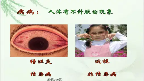 班会主题班会常见传染病的预防PPT课件