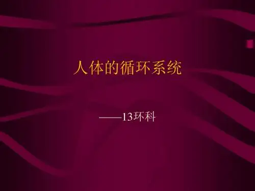 循环系统