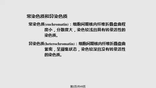 遗传细胞与分子基础.pptx