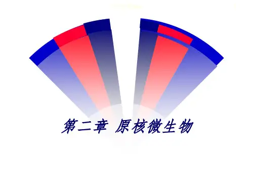 环境工程微生物学(1)