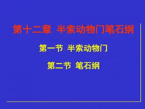 第12章  半索动物门笔石纲