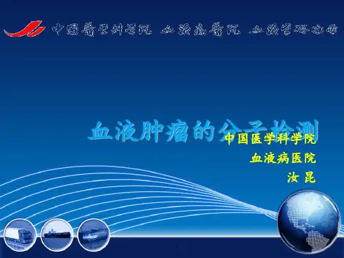 血液肿瘤的分子检测ppt课件